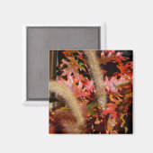 Herbstfarben Magnet (Vorderseite/Rückseite)