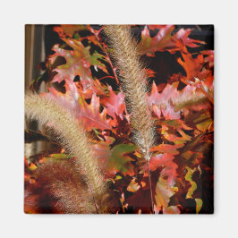 Herbstfarben Magnet