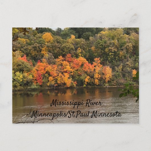 Herbstfarben Mississippi Fluss Minneapolis Postkarte (Vorderseite)