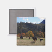 Herbstfarben mit der Herde... Magnet (Vorderseite/Rückseite)