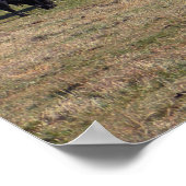 Herbstfarben mit der Herde... Poster (Ecke)