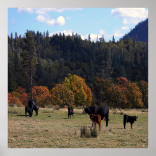 Herbstfarben mit der Herde... Poster