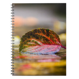 Herbstfarben Notizblock