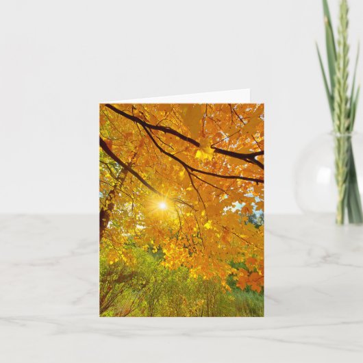 Herbstfarben ohne Notecard Dankeskarte (Vorderseite)