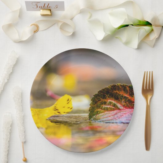 Herbstfarben Pappteller (Hochzeit)