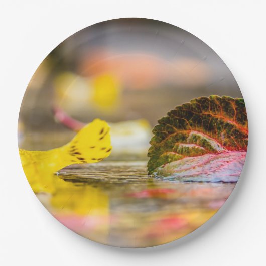 Herbstfarben Pappteller (Vorderseite)