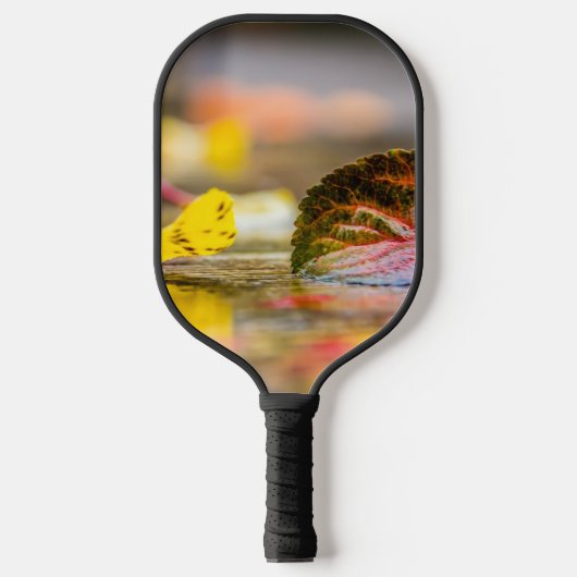 Herbstfarben Pickleball Schläger (Vorderseite)