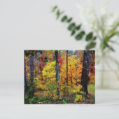 Herbstfarben POSTCARD Postkarte (Stehend Vorderseite)