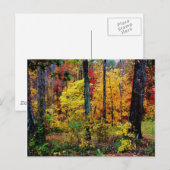 Herbstfarben POSTCARD Postkarte (Vorne/Hinten)
