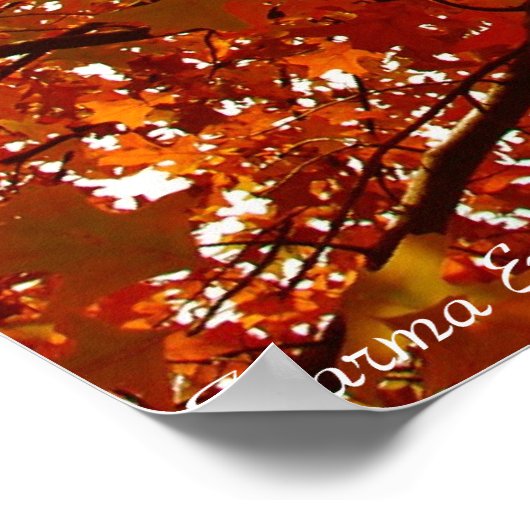 Herbstfarben Poster (Ecke)