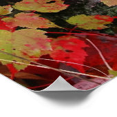 Herbstfarben Poster (Ecke)