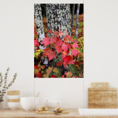 Herbstfarben Poster (Küche)