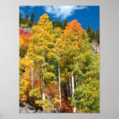 Herbstfarben Poster (Vorne)