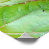 Herbstfarben Poster (Ecke)