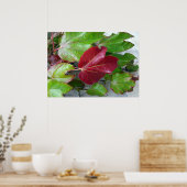 Herbstfarben Poster (Küche)