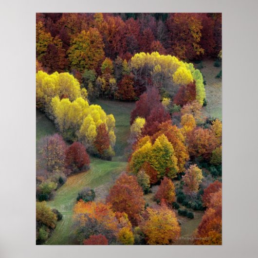 Herbstfarben Poster (Vorne)