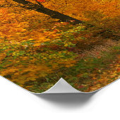 Herbstfarben Poster (Ecke)