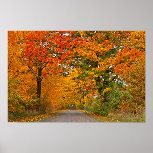 Herbstfarben Poster (Vorne)