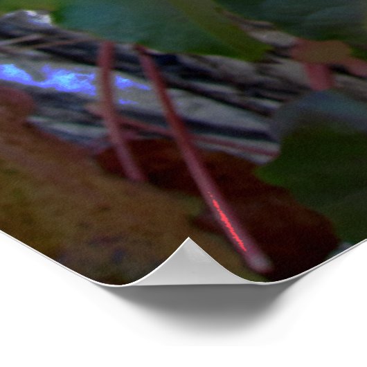 Herbstfarben Poster - riesig (Ecke)