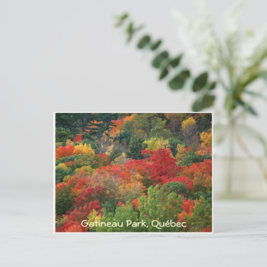 Herbstfarben Postkarte (Stehend Vorderseite)