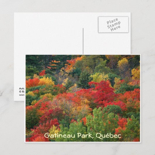 Herbstfarben Postkarte (Vorne/Hinten)