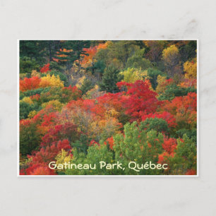 Herbstfarben Postkarte