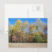 Herbstfarben Postkarte (Vorne/Hinten)