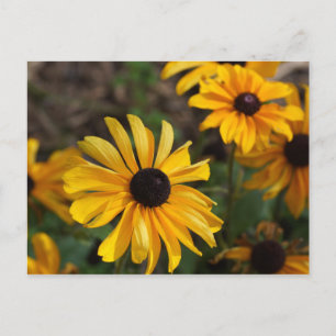 Herbstfarben Postkarte