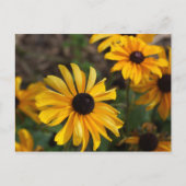 Herbstfarben Postkarte (Vorderseite)