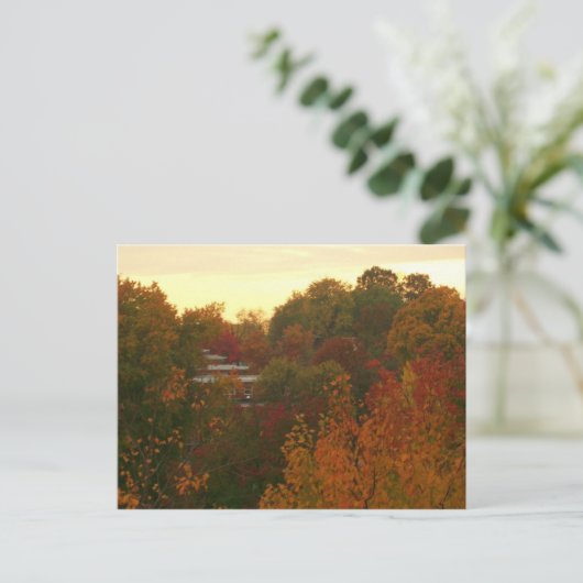 Herbstfarben Postkarte (Stehend Vorderseite)
