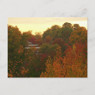 Herbstfarben Postkarte
