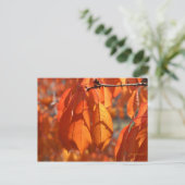 Herbstfarben Postkarte (Stehend Vorderseite)