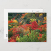 Herbstfarben Postkarte (Vorne/Hinten)