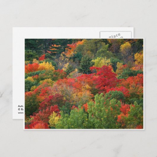 Herbstfarben Postkarte (Vorne/Hinten)