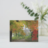 Herbstfarben Postkarte (Stehend Vorderseite)