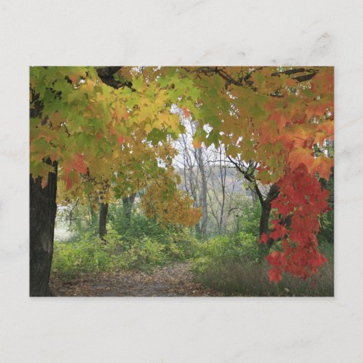 Herbstfarben Postkarte (Vorderseite)