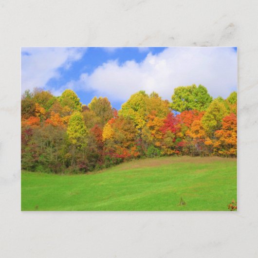 Herbstfarben Postkarte (Vorderseite)