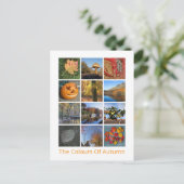 Herbstfarben Postkarte (Stehend Vorderseite)