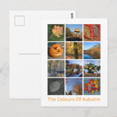 Herbstfarben Postkarte (Vorne/Hinten)