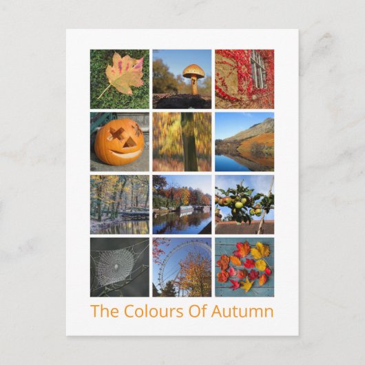 Herbstfarben Postkarte (Vorderseite)