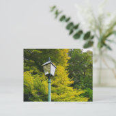 Herbstfarben Postkarte (Stehend Vorderseite)