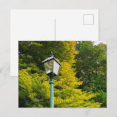 Herbstfarben Postkarte (Vorne/Hinten)