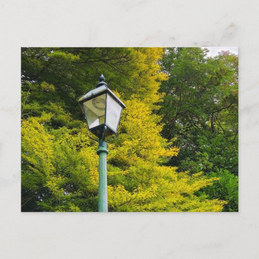 Herbstfarben Postkarte (Vorderseite)