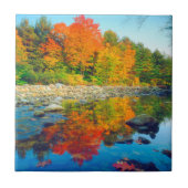 Herbstfarben reflektieren in einem Bach in Vermont Fliese (Vorderseite)