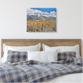 Herbstfarben | Rocky Mountains, Colorado Leinwanddruck (Insitu (Schlafzimmer))