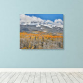 Herbstfarben | Rocky Mountains, Colorado Leinwanddruck (Insitu (Holzboden))