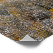 Herbstfarben | Rocky Mountains, Colorado Poster (Ecke)