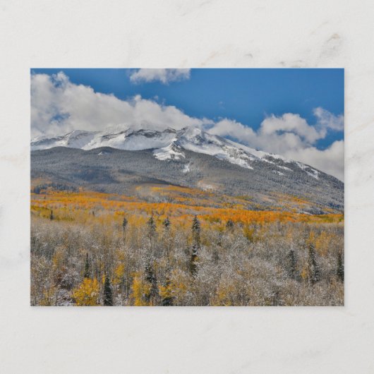 Herbstfarben | Rocky Mountains, Colorado Postkarte (Vorderseite)