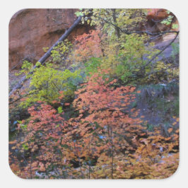 Herbstfarben rund um quadratischer aufkleber