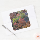 Herbstfarben rund um quadratischer aufkleber (Umschlag)